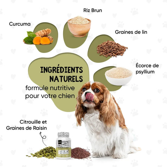 Antihistaminique pour chien avec ingrédients naturels