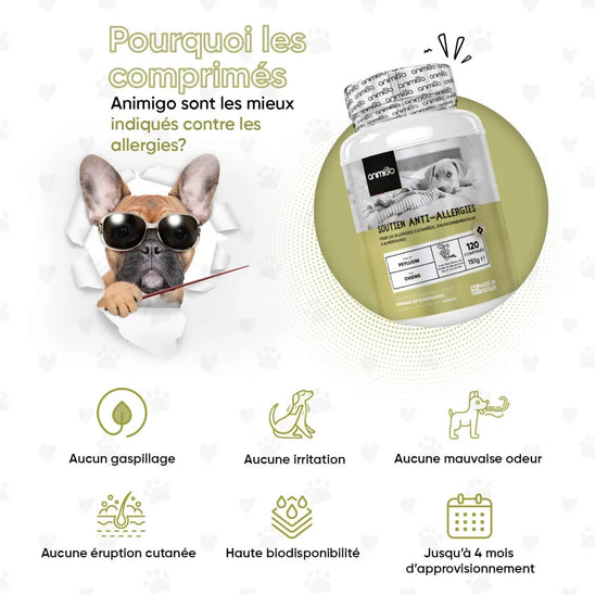 Antiallergique pour chiens en comprimés