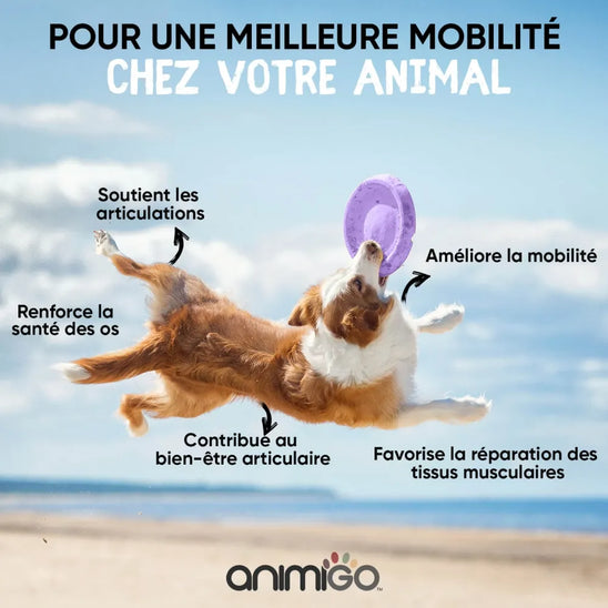 hip-and-joint-complex-fr-02