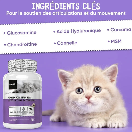 hip-and-joint-complex-fr-03