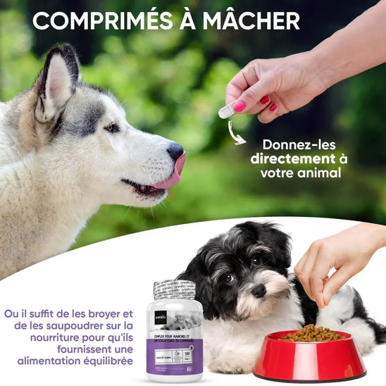 hip-and-joint-complex-fr-05