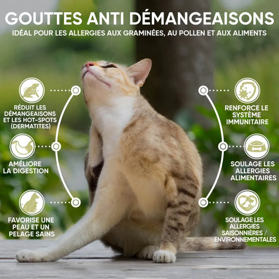 itch-relief-liquid-fr-02