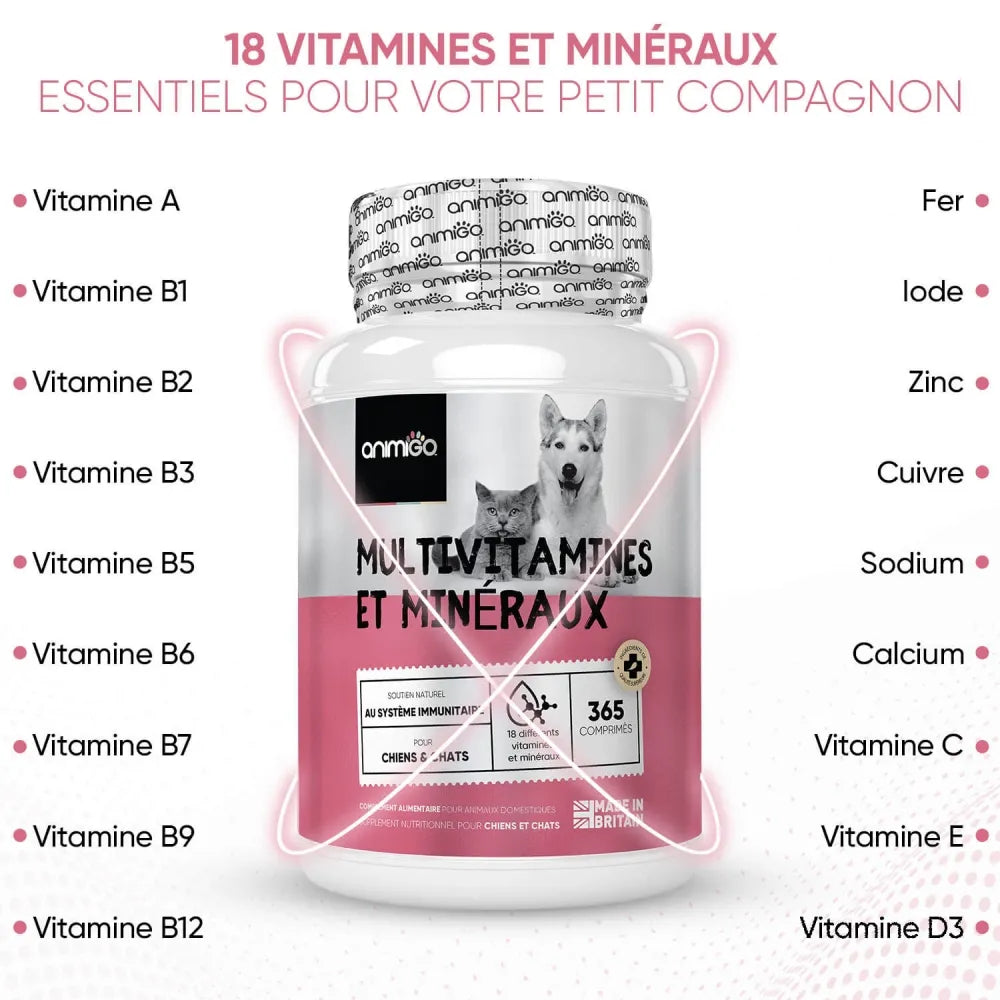 multivitamins-and-minerals-for-dogs-cat-fr-03.webp