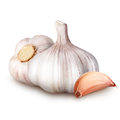 Garlic Powder Garlic Powder