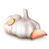 Garlic Powder Garlic Powder