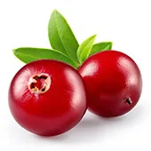 Cranberry Cranberry