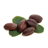 Jojoba Seed Oil Jojoba Seed Oil