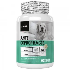 Anti-Coprophagie pour Chiens