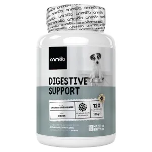 Digestive Support