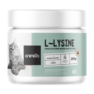 L-Lysine en Poudre