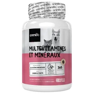 Huile de saumon pour chien : pourquoi et comment l'utiliser ? - JMT  Alimentation Animale