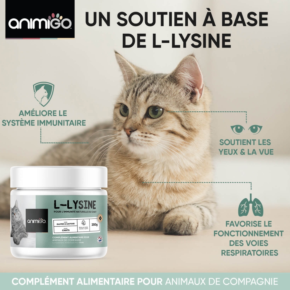 Lysine pour chaton et chat