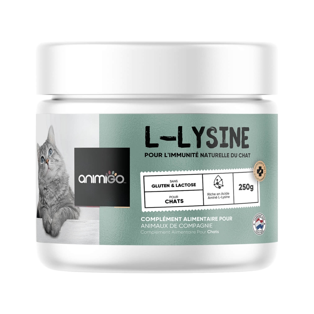 Lysine pour Chat