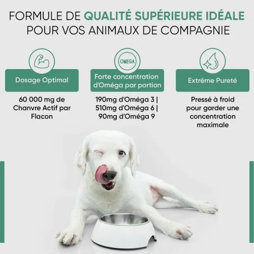 Huile de Chanvre Bio pour Chiens et Chats