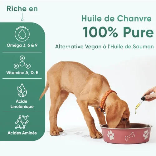 Huile de poisson pour chien chat signée Iceland Pet