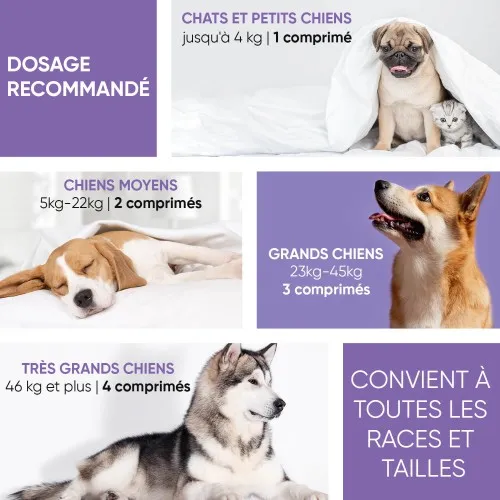 Complexe pour Hanches & Articulations | Pour Chats & Chiens | Animigo