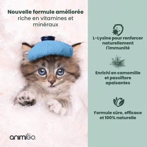 Formule de L-Lysine pour chats sans effets secondaires