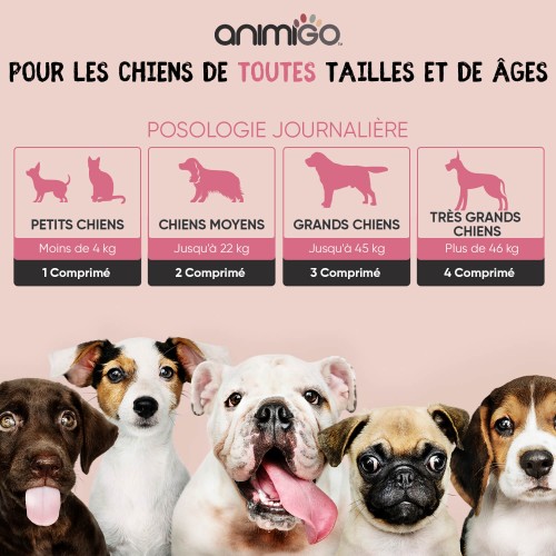 Multivitamines Et Mineraux Pour Chiens Sante Et Bien Etre Animigo
