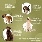 Dosage de l’antiallergique pour chien