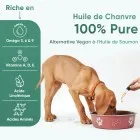 Huile de chanvre pour chien et chat 100% naturelle