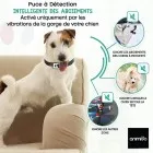Collier anti-aboiement et dressage pour chien