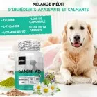 Calmant naturel pour chien