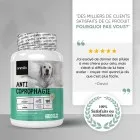 Produit contre la coprophagie du chien