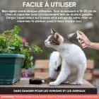 Mode d’emploi du spray anti-puces et anti-tiques pour chiens et chats