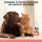 Produit anti puce pour chats et chiens de toutes tailles races et âges