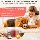 Anti puce chat naturel avec vitamines et minéraux