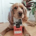 Huile de saumon naturelle pour chien et chat sans effets secondaires