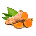 Curcuma Curcuma