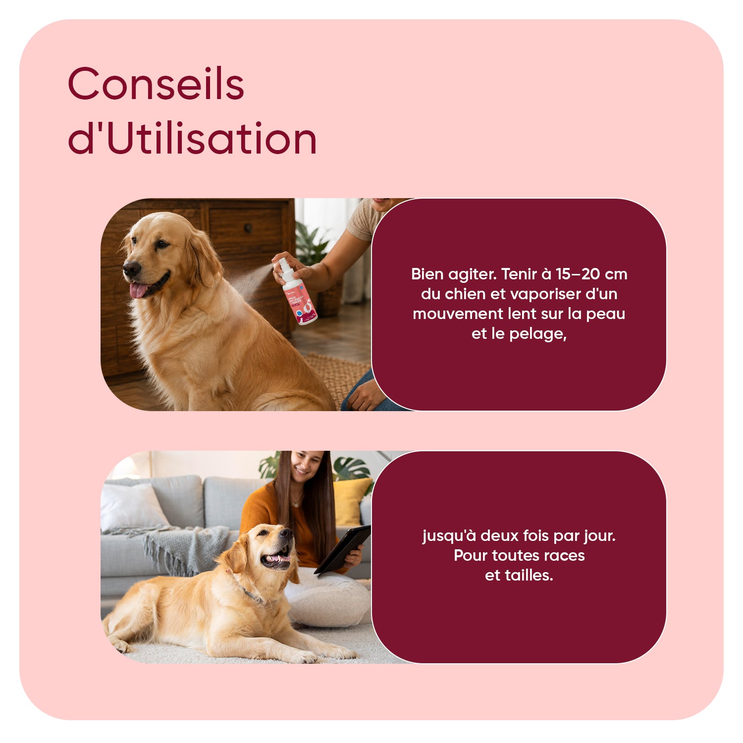 Spray anti-puces et anti-tiques pour chiens 500ml