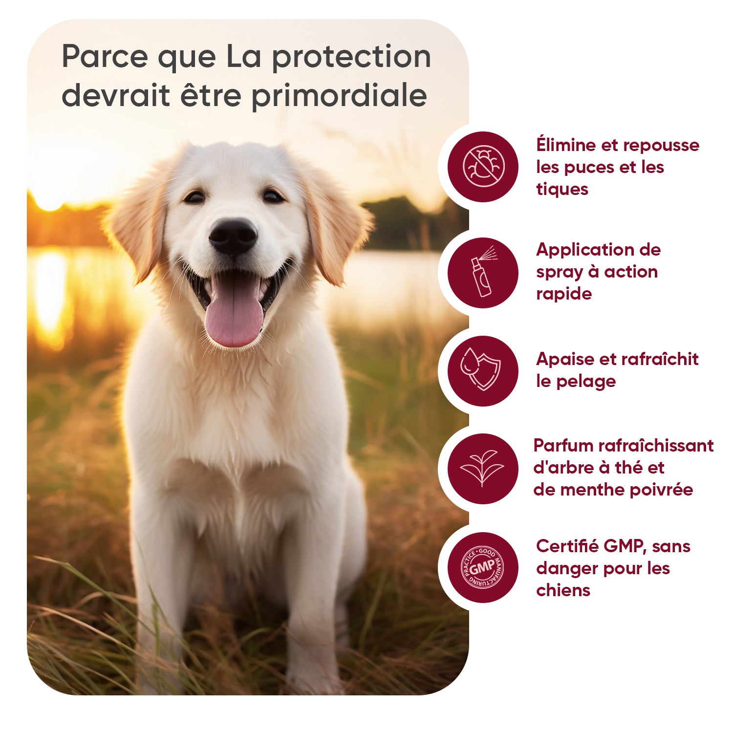 Spray anti-puces et anti-tiques pour chiens 500ml