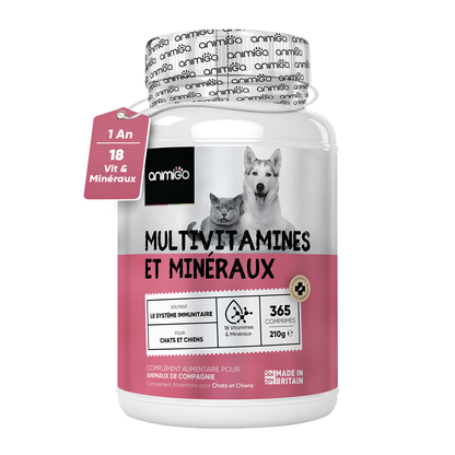 Multivitamines et Minéraux pour chiens