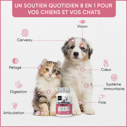 Multivitamines et Minéraux pour chiens