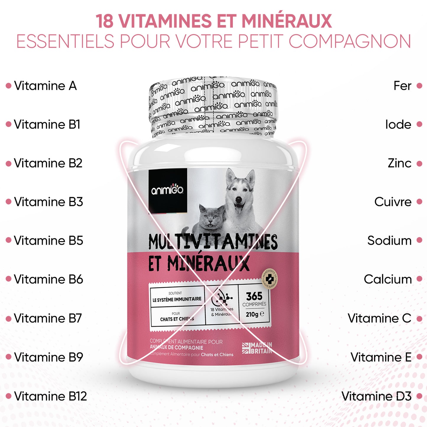 Multivitamines et Minéraux pour chiens
