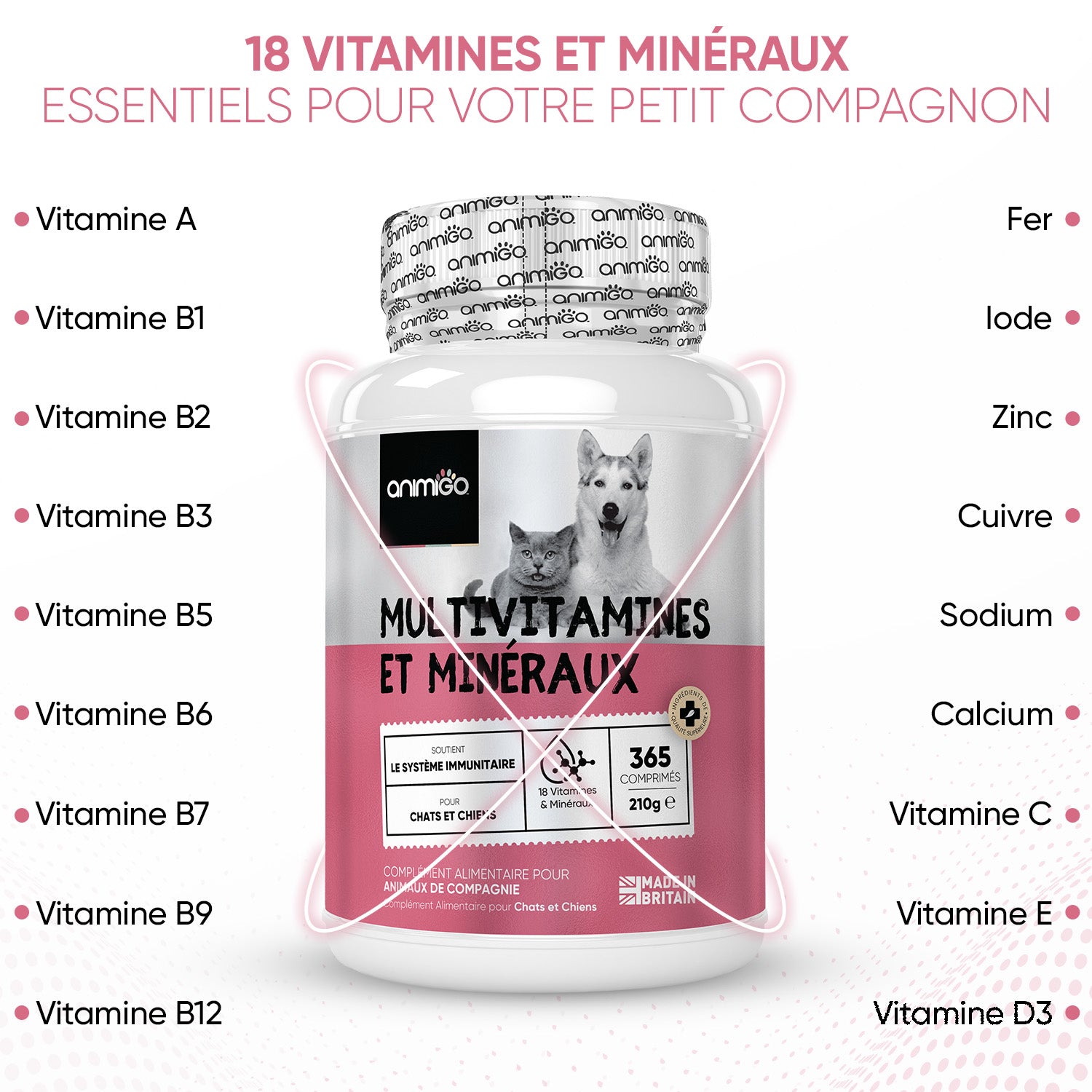 Multivitamines avec minéraux pour chiens — 365 comprimés