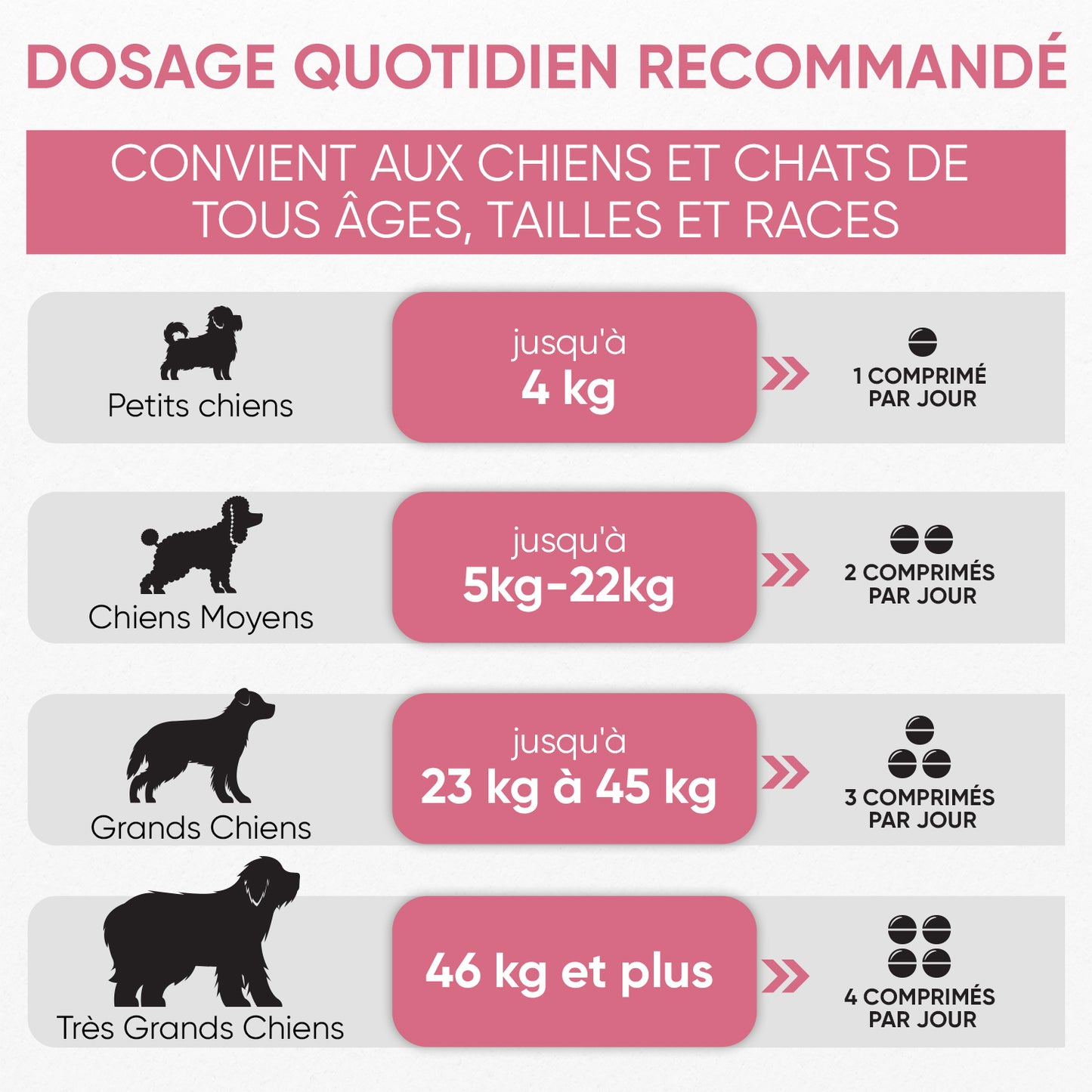 Multivitamines et Minéraux pour chiens