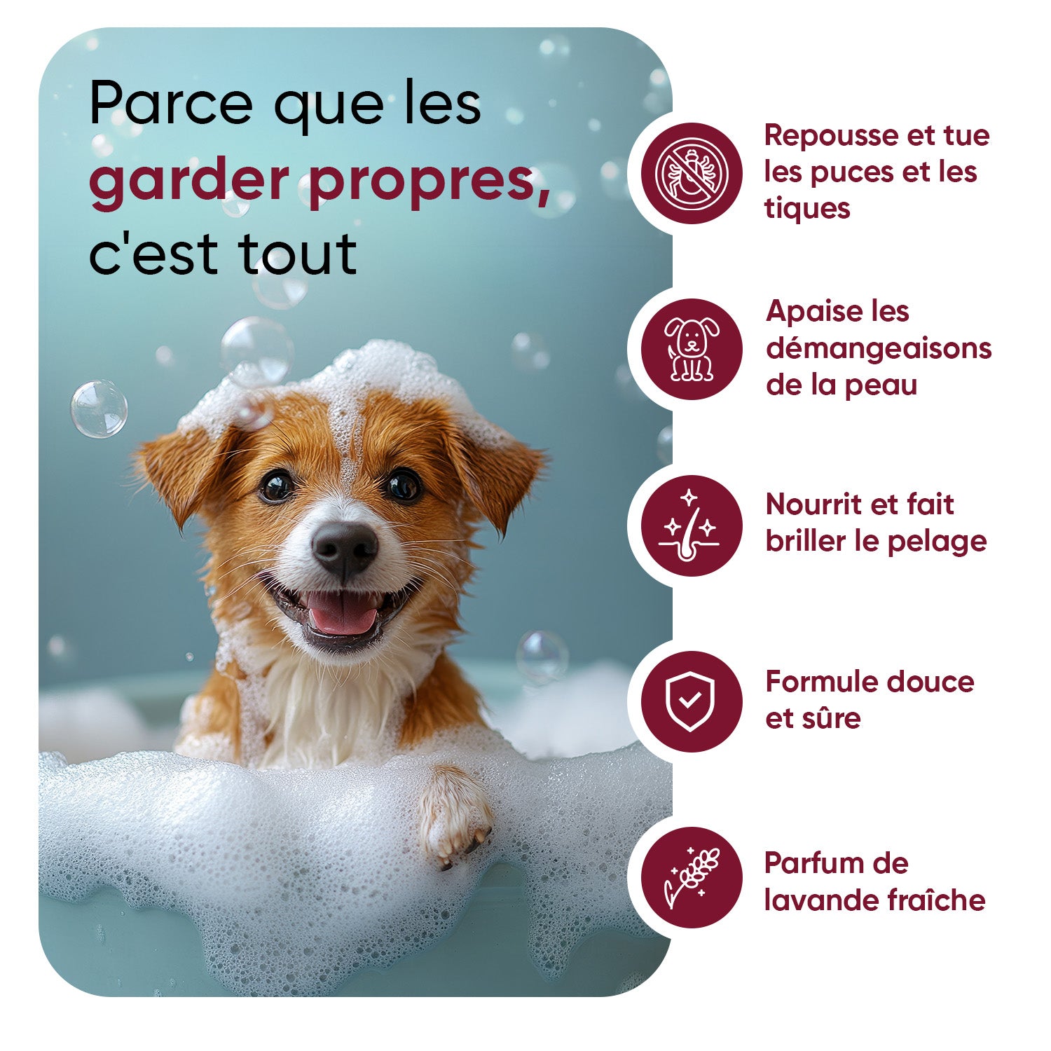 Shampooing Anti-Puces & Tiques pour Chiens 500ml