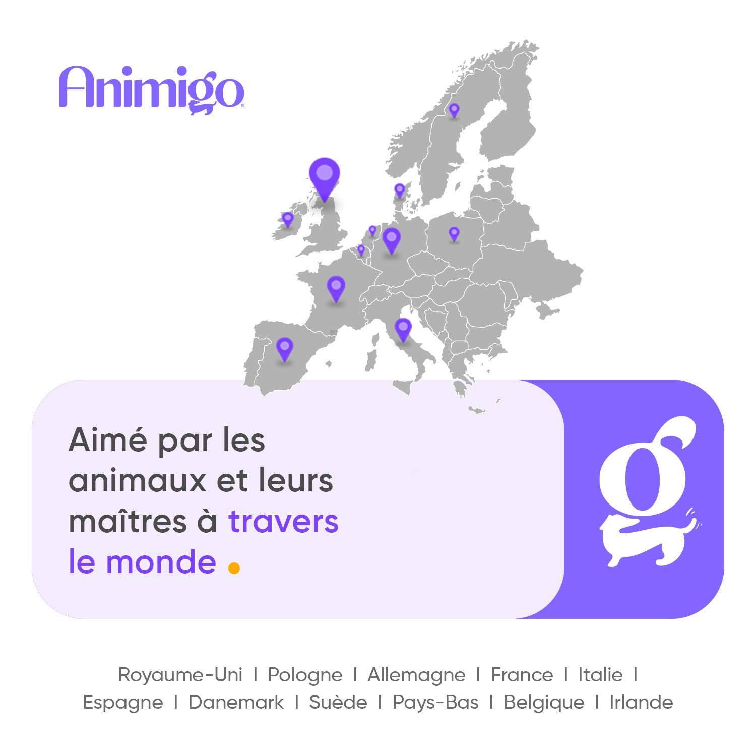 Shampooing Anti-Puces & Tiques pour Chiens 500ml