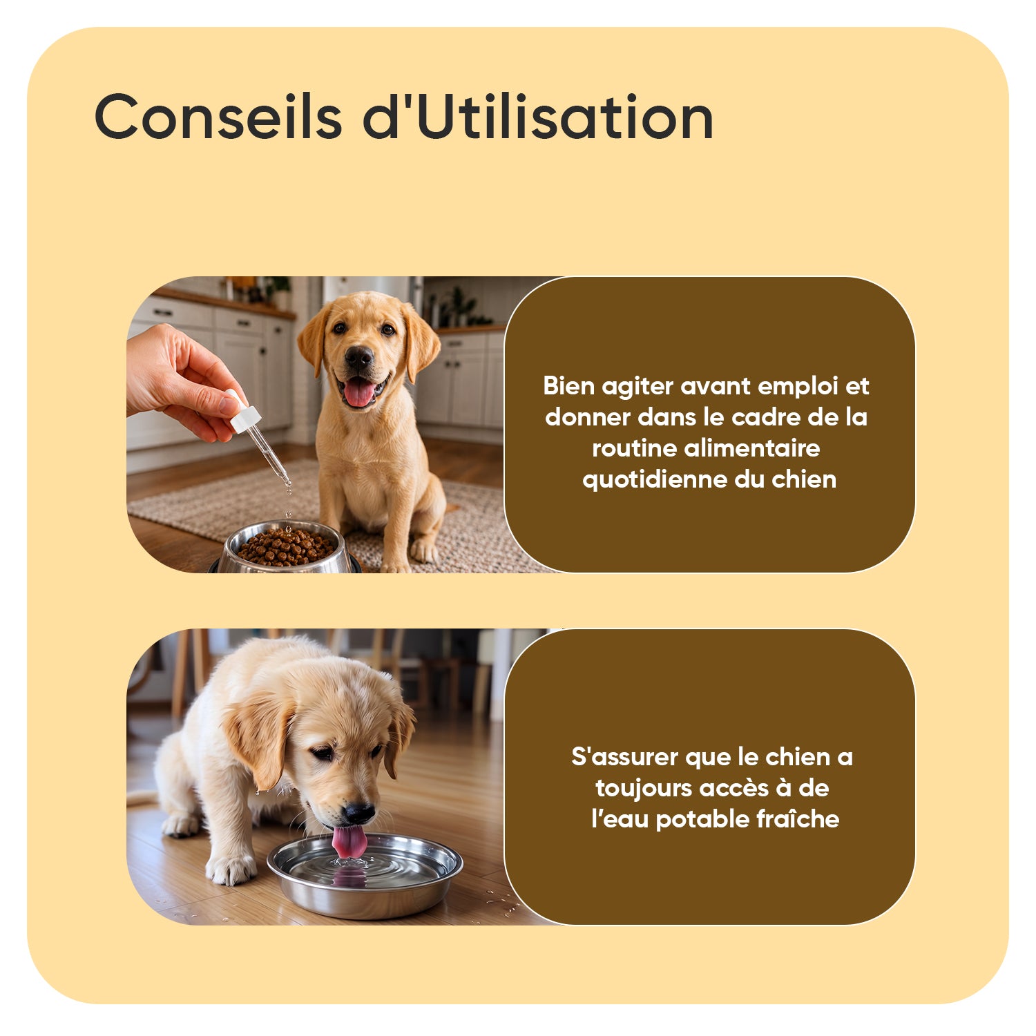 Anti-démangeaisons pour chiens 250 ml liquide