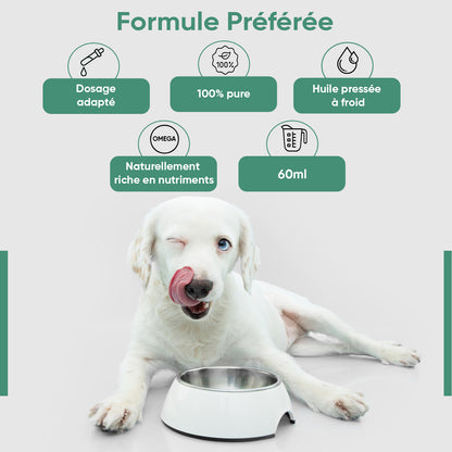 Huile de Chanvre pour Chiens