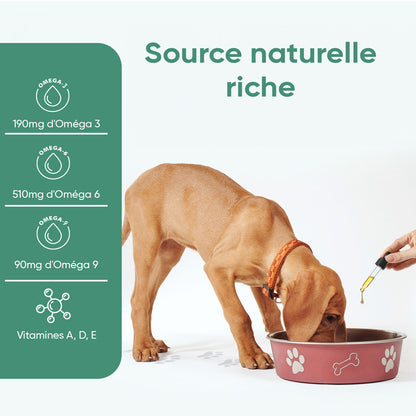 Huile de Chanvre pour Chiens