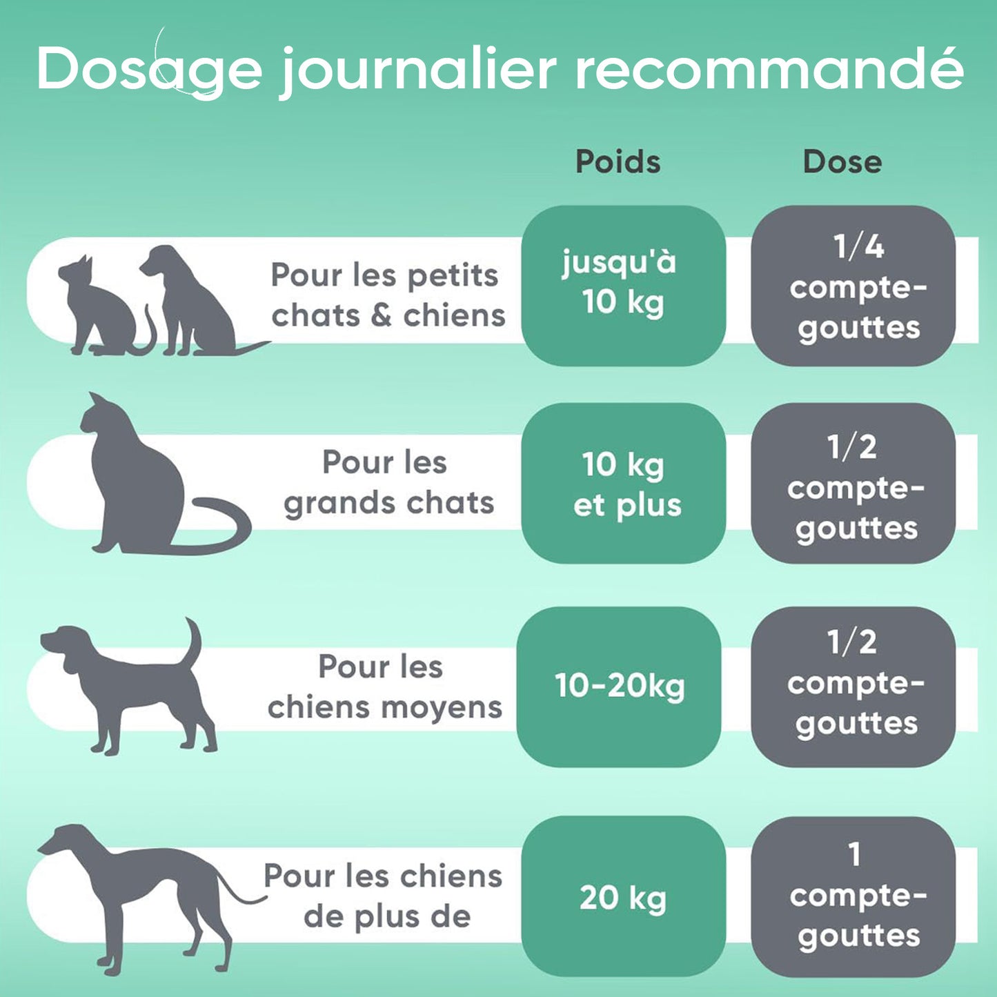 Huile de Chanvre pour Chiens