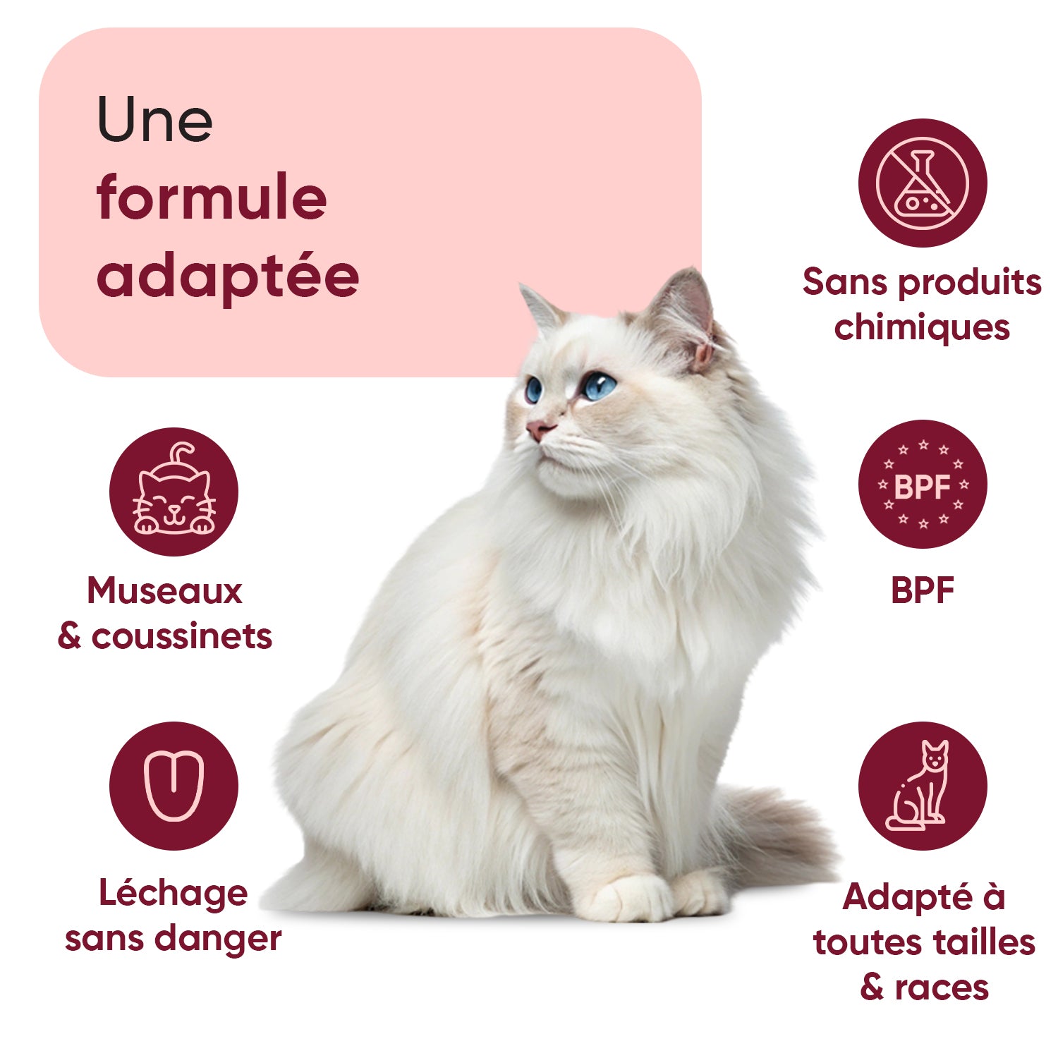 Baume pour coussinets et museau de chat 50 ml