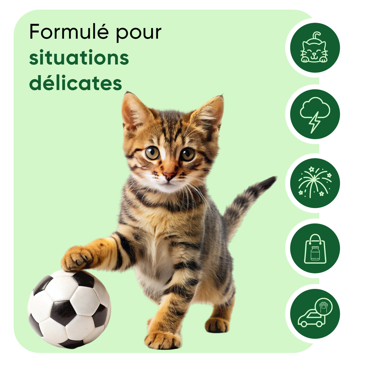 Animigo Gouttes Apaisantes pour Chats 100 ml