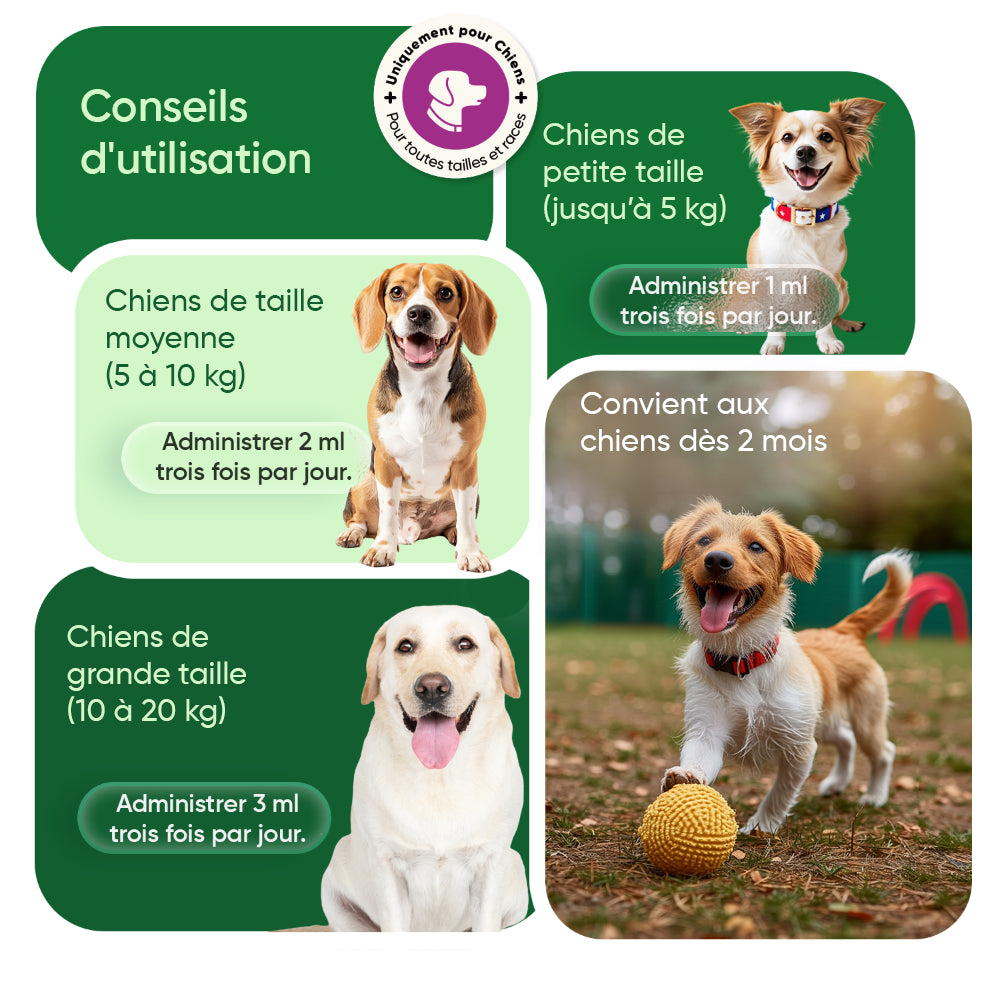 Gouttes apaisantes pour chiens 100 ml