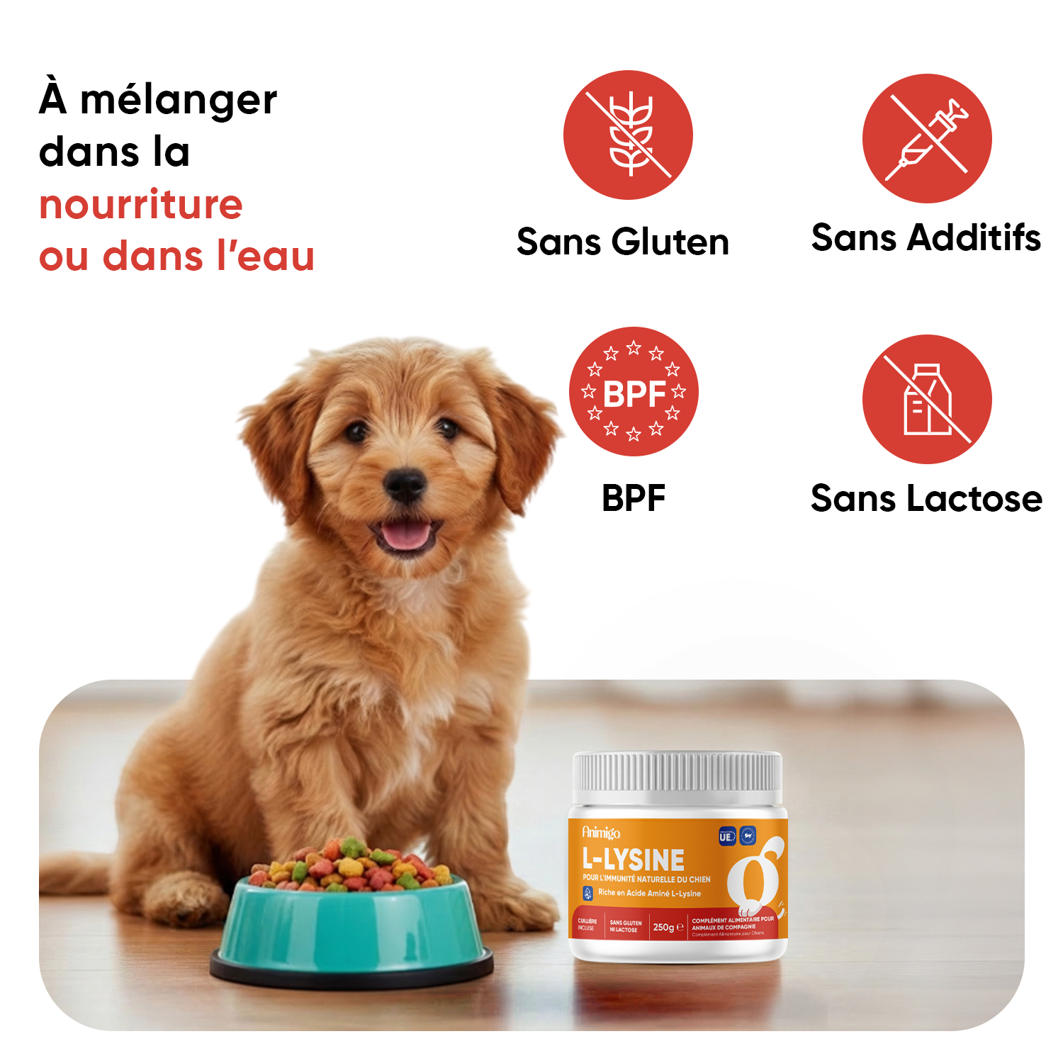 Poudre de L-lysine pour chiens 250 g