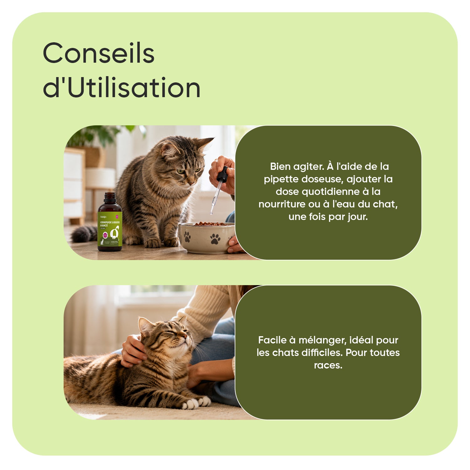 Poudre anti-puces et anti-tiques pour chats